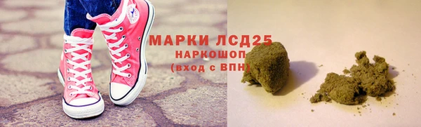 индика Галич