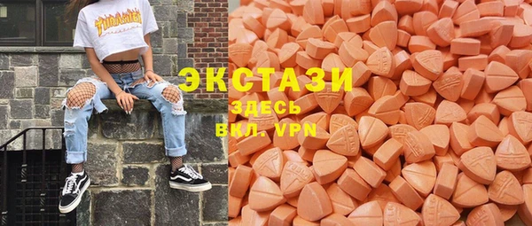 индика Галич