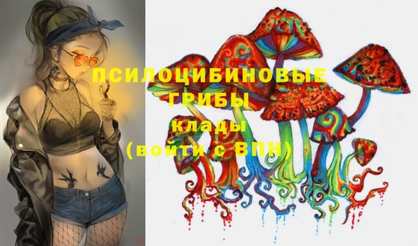 ПСИЛОЦИБИНОВЫЕ ГРИБЫ Гатчина