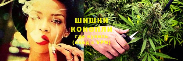 индика Куйбышев