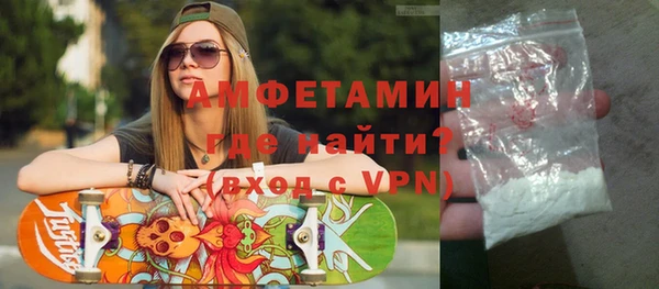 индика Галич