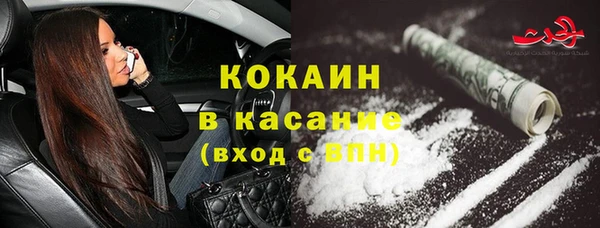 индика Галич