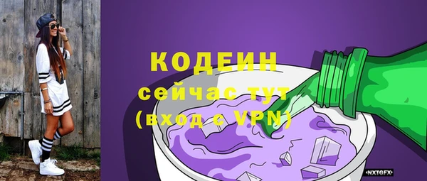 индика Галич