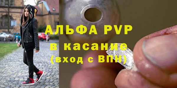 индика Галич
