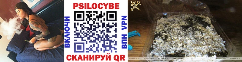 ссылка на мегу рабочий сайт  Липки  Псилоцибиновые грибы GOLDEN TEACHER  наркошоп 